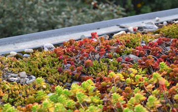 the cost of Great Glen green roof installation