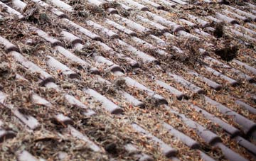 Great Glen roof cleaning companies